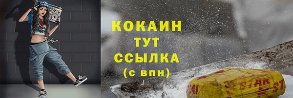 МДПВ Бердск