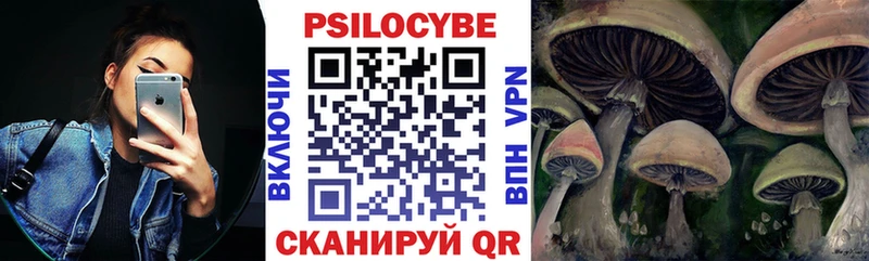 Галлюциногенные грибы Psilocybine cubensis купить наркотики сайты Котельники