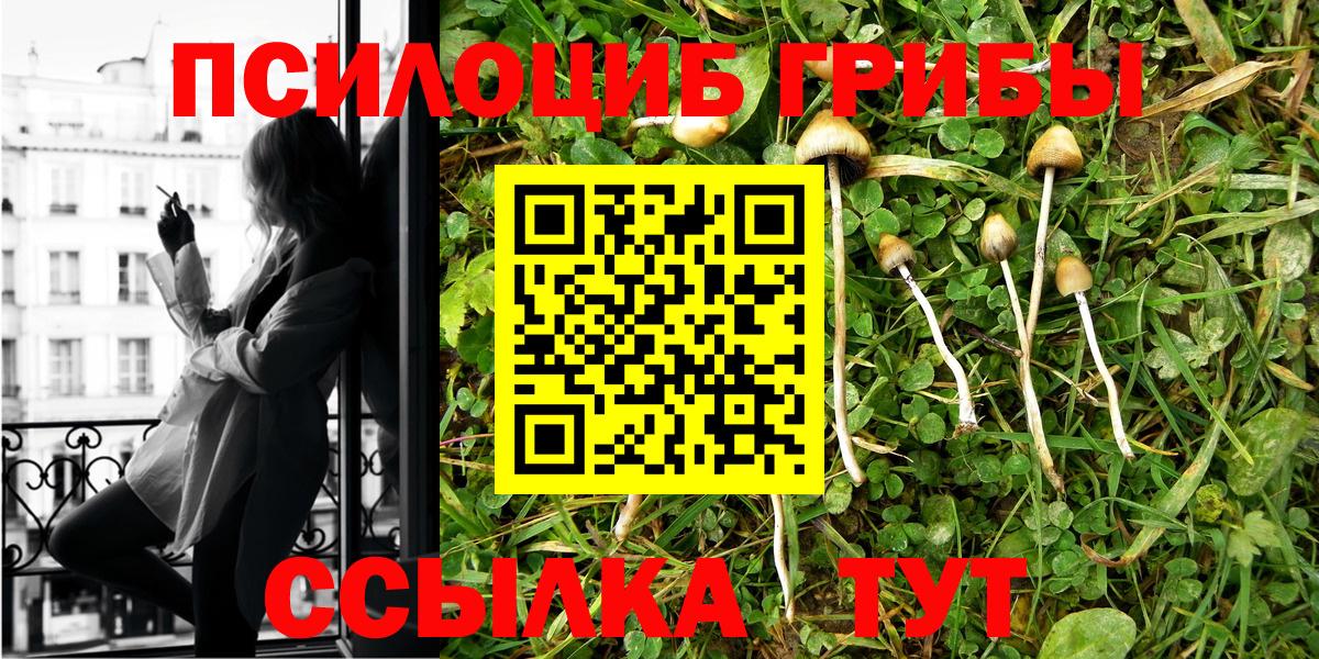 Галлюциногенные грибы MAGIC MUSHROOMS  Галлюциногенные грибы GOLDEN TEACHER  Котельники 