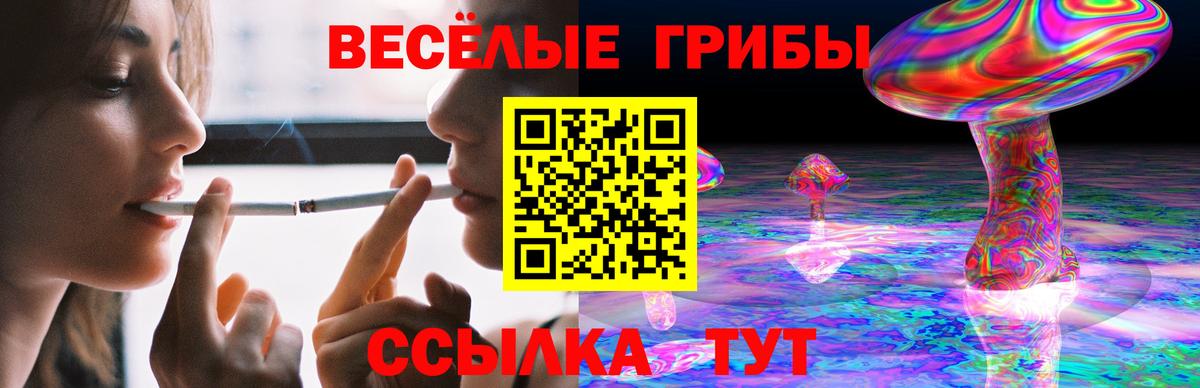 Псилоцибиновые грибы мухоморы Котельники